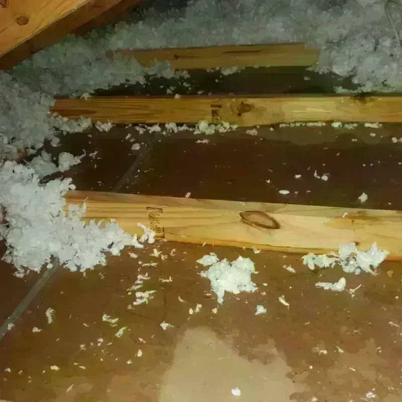 Attic Water Damage in Athens, OH