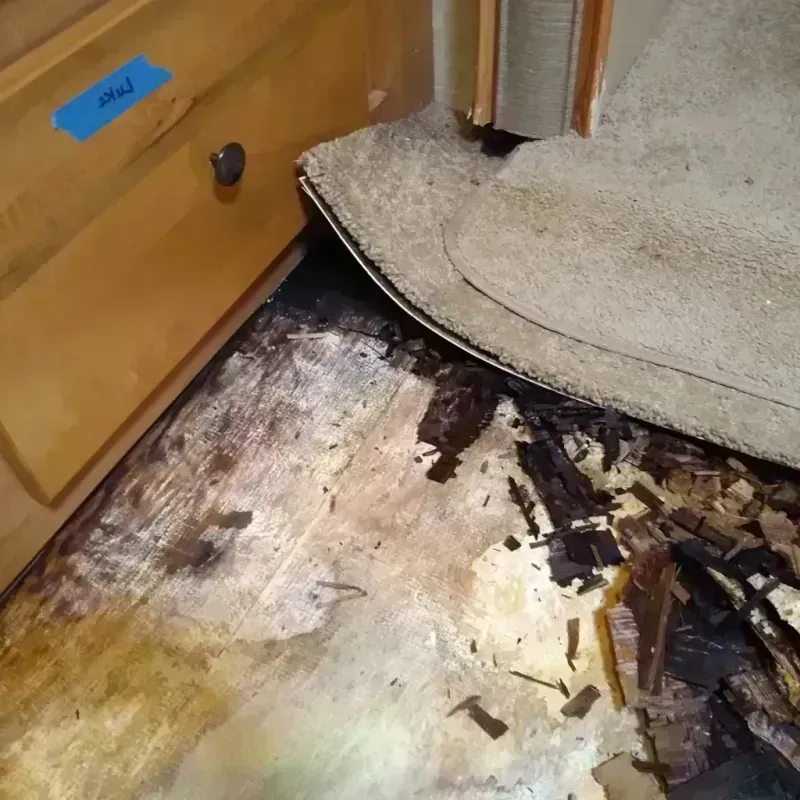 Best Wood Floor Water Damage Service in Athens, OH